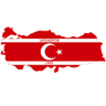 Vatanspor