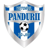 Viitorul Târgu Jiu II