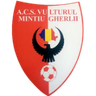 Vulturul Mintiu Gherlii