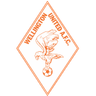 Wellington United