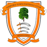 Ashford Town (Middx)
