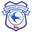 Cardiff City U21