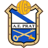 Prat logo, since 2012