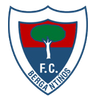Bergantiños logo, 2010–2018
