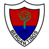 Bergantiños logo, 1999–2007