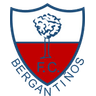 Bergantiños logo, 1993–1999