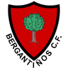 Bergantiños logo, 1979–1987