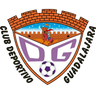 Guadalajara logo, 2010–2011