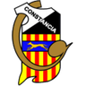 Constància logo, 1988–2002