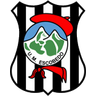 Escobedo logo, since 2011