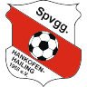 SpVgg Hankofen-Hailing