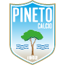 Pineto