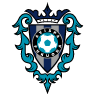 Avispa Fukuoka
