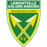 Golden Arrows