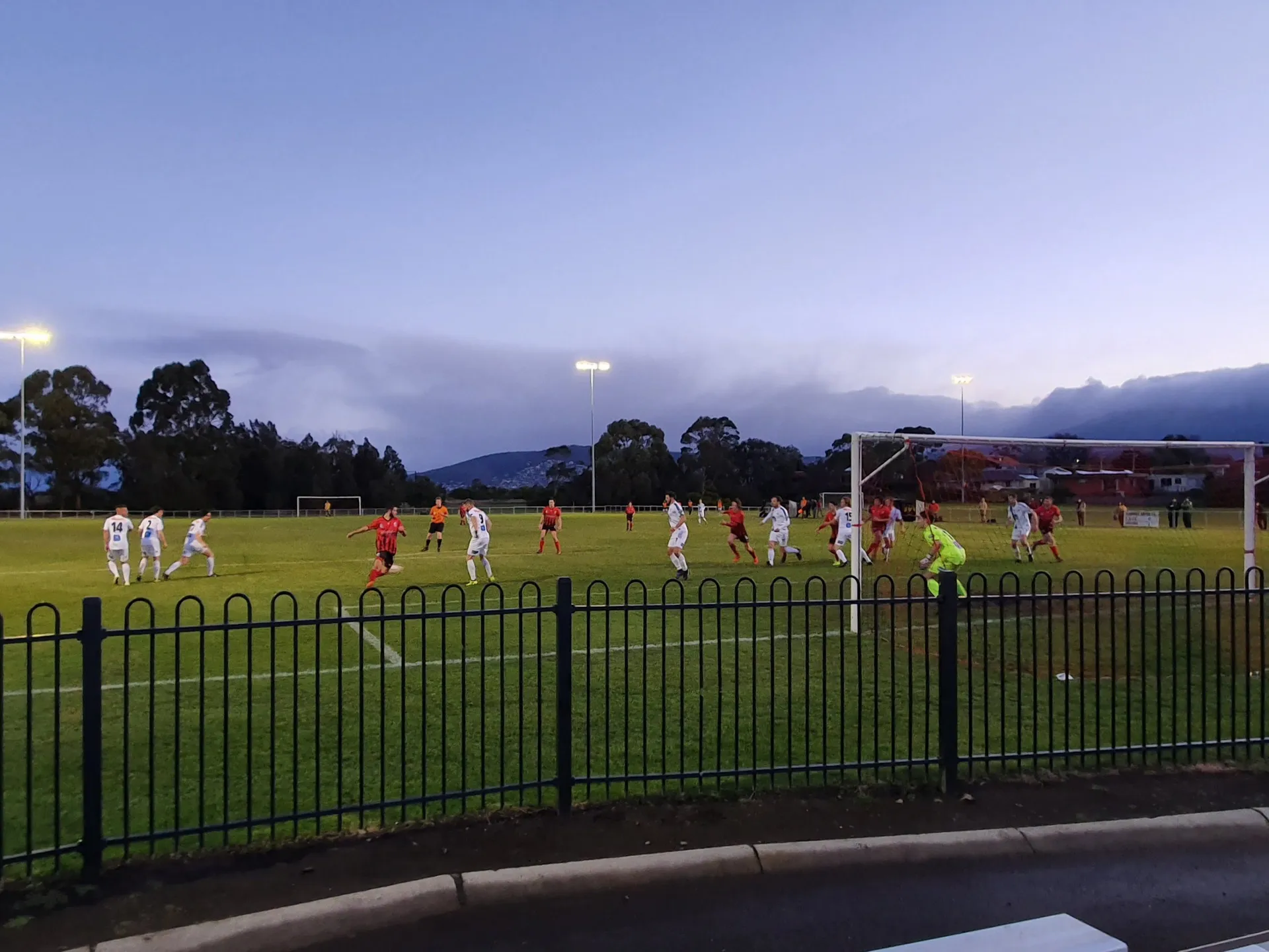 Wentworth Park 2