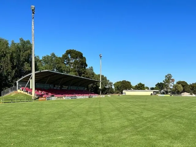 Solar Mad Stadium