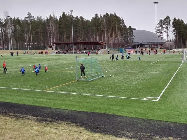 Mehtimäki tekonurmi, home of Jippo