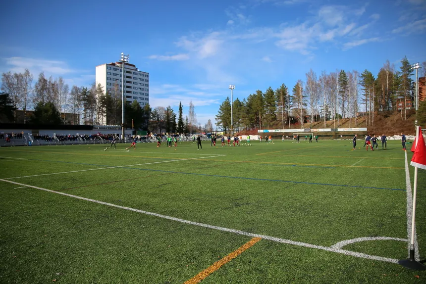 Viitaniemi tekonurmi