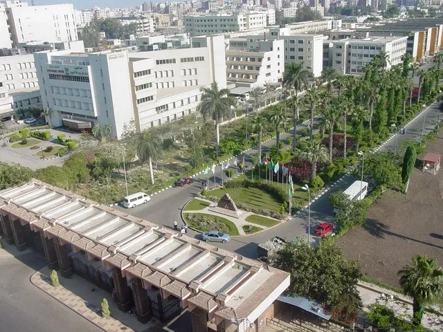 El Mansoura Stadium