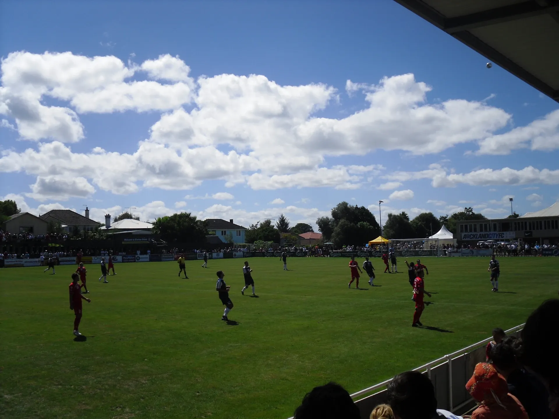 Kiwitea Street