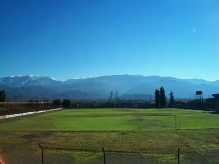 Munitsipaluri Tsentraluri Stadioni
