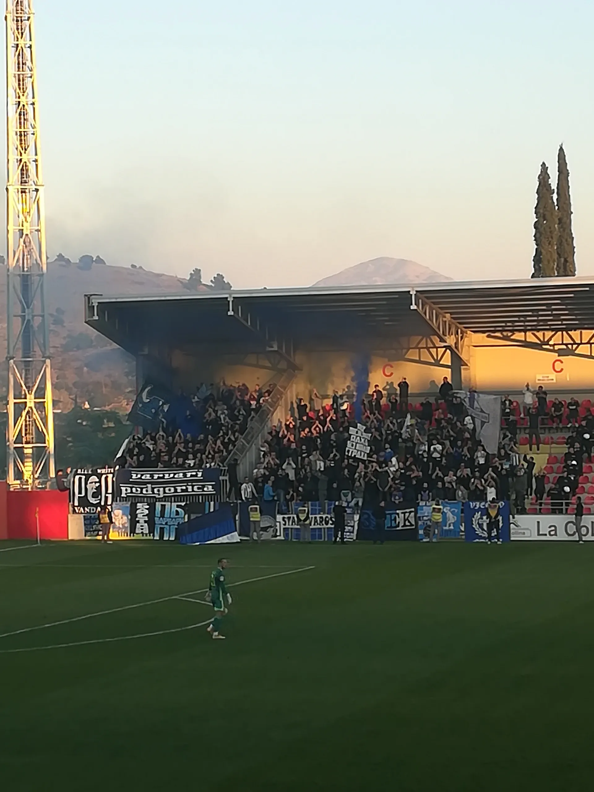 DG Arena